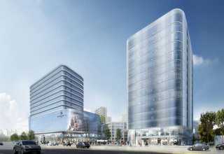 嘉兴舞茸灰树花商家推荐