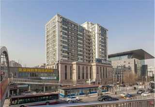 淄博美国橡木桶直销